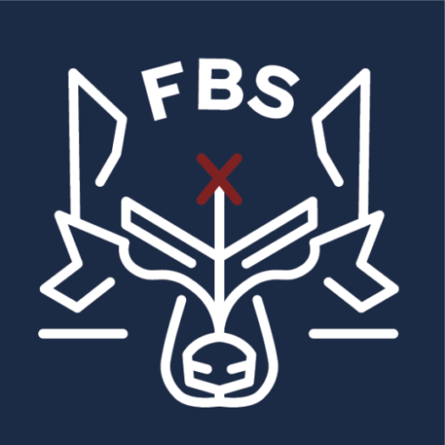 FBS Fenrir Business Solutions